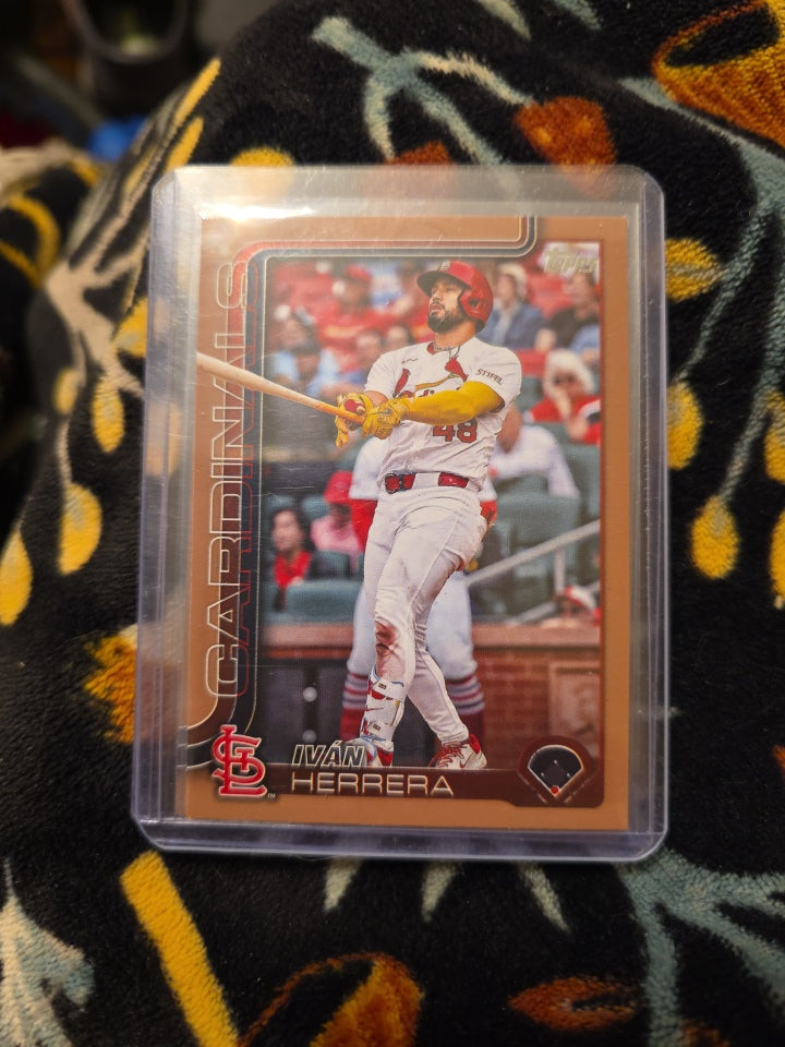 5 Numbered card lot